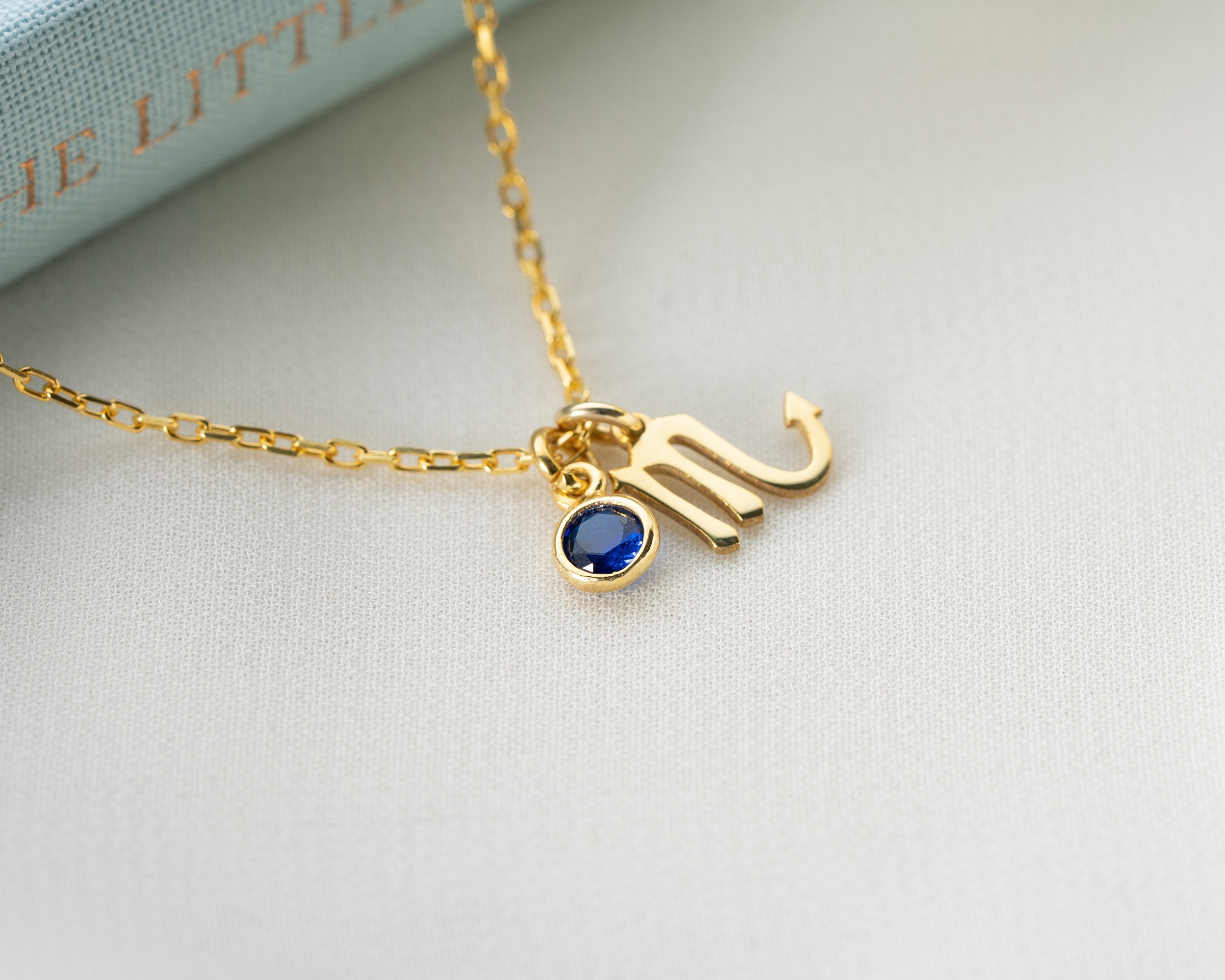 Zodiac Sign and Birthstone Necklace