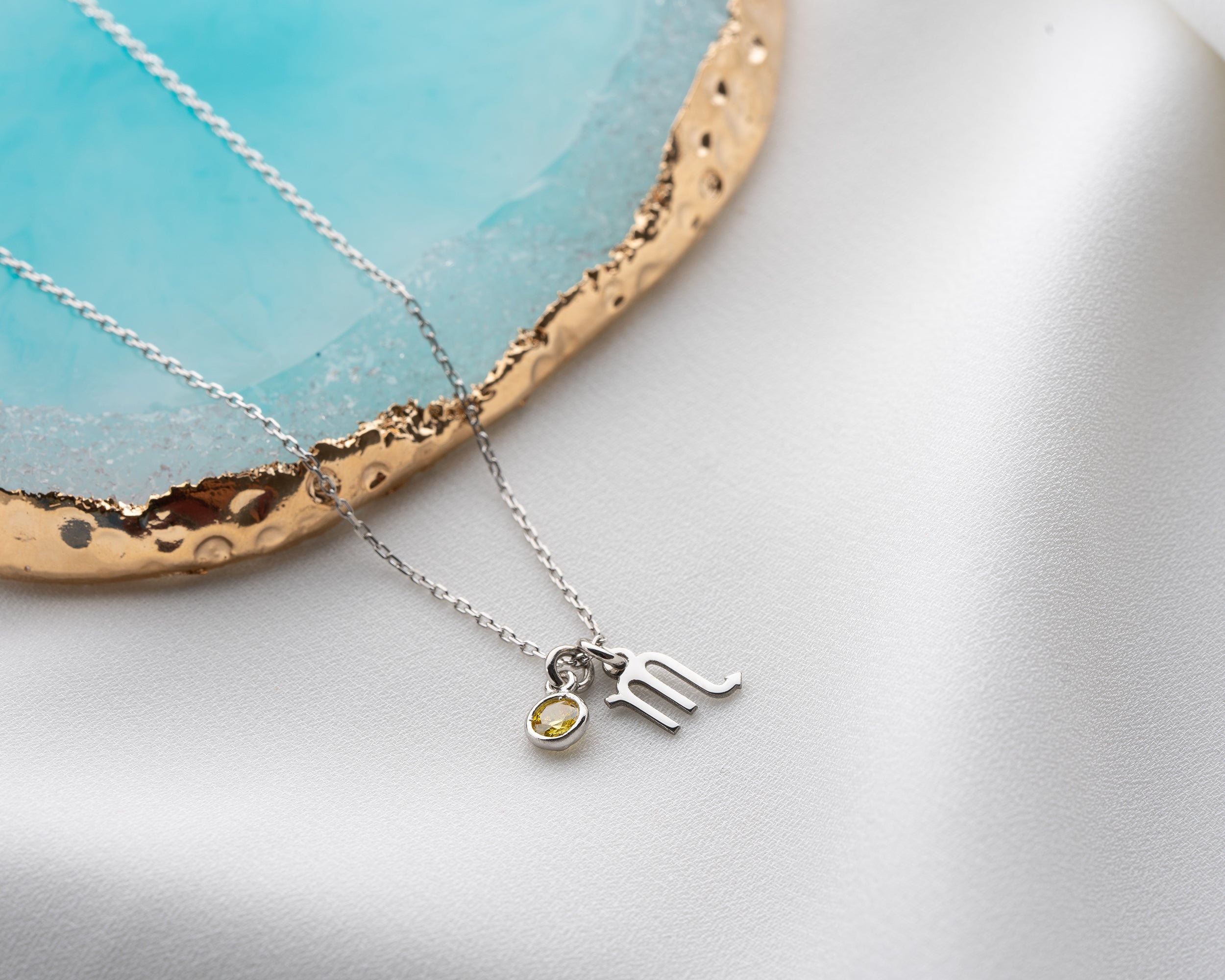 Zodiac Sign and Birthstone Necklace