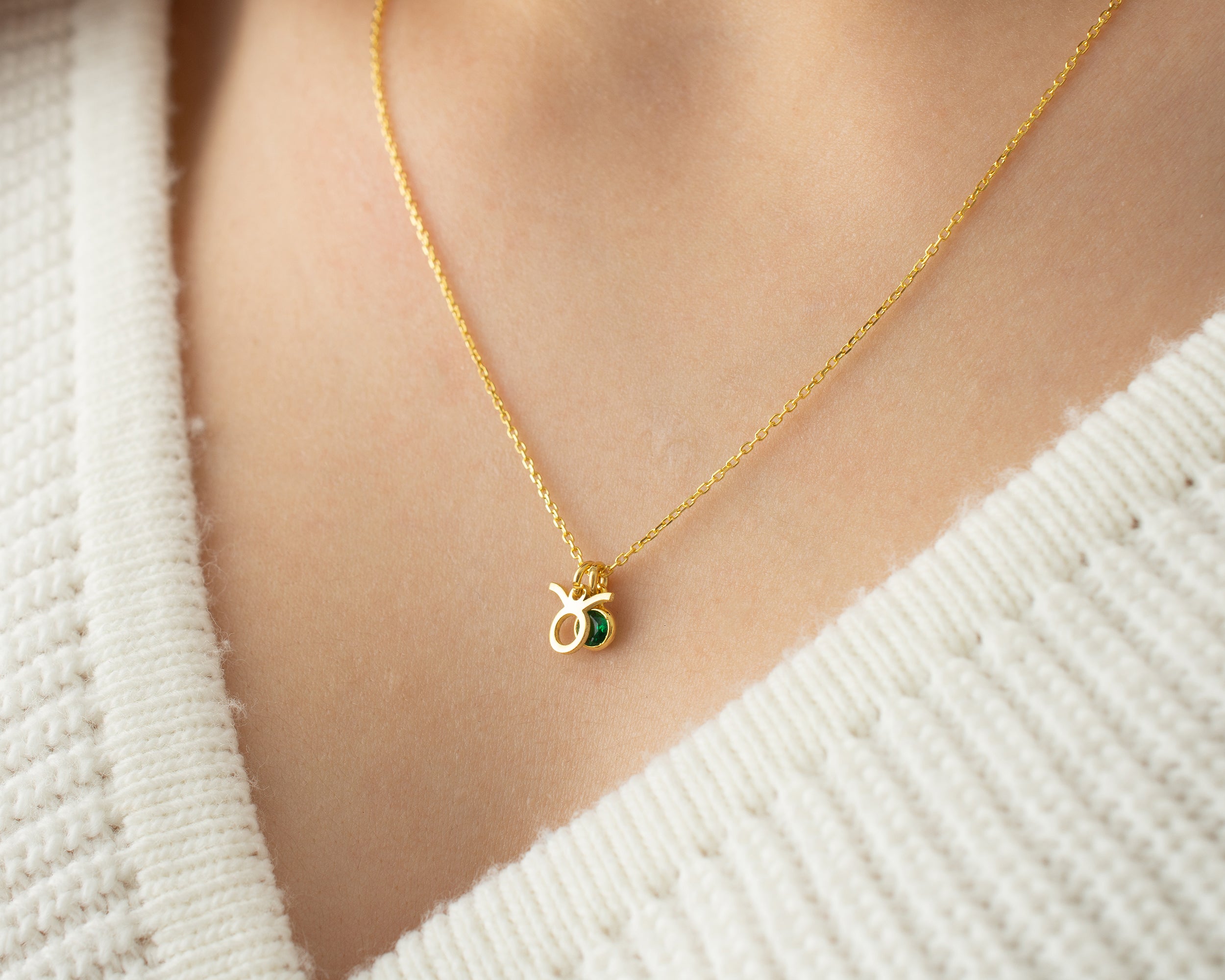 Zodiac Sign and Birthstone Necklace