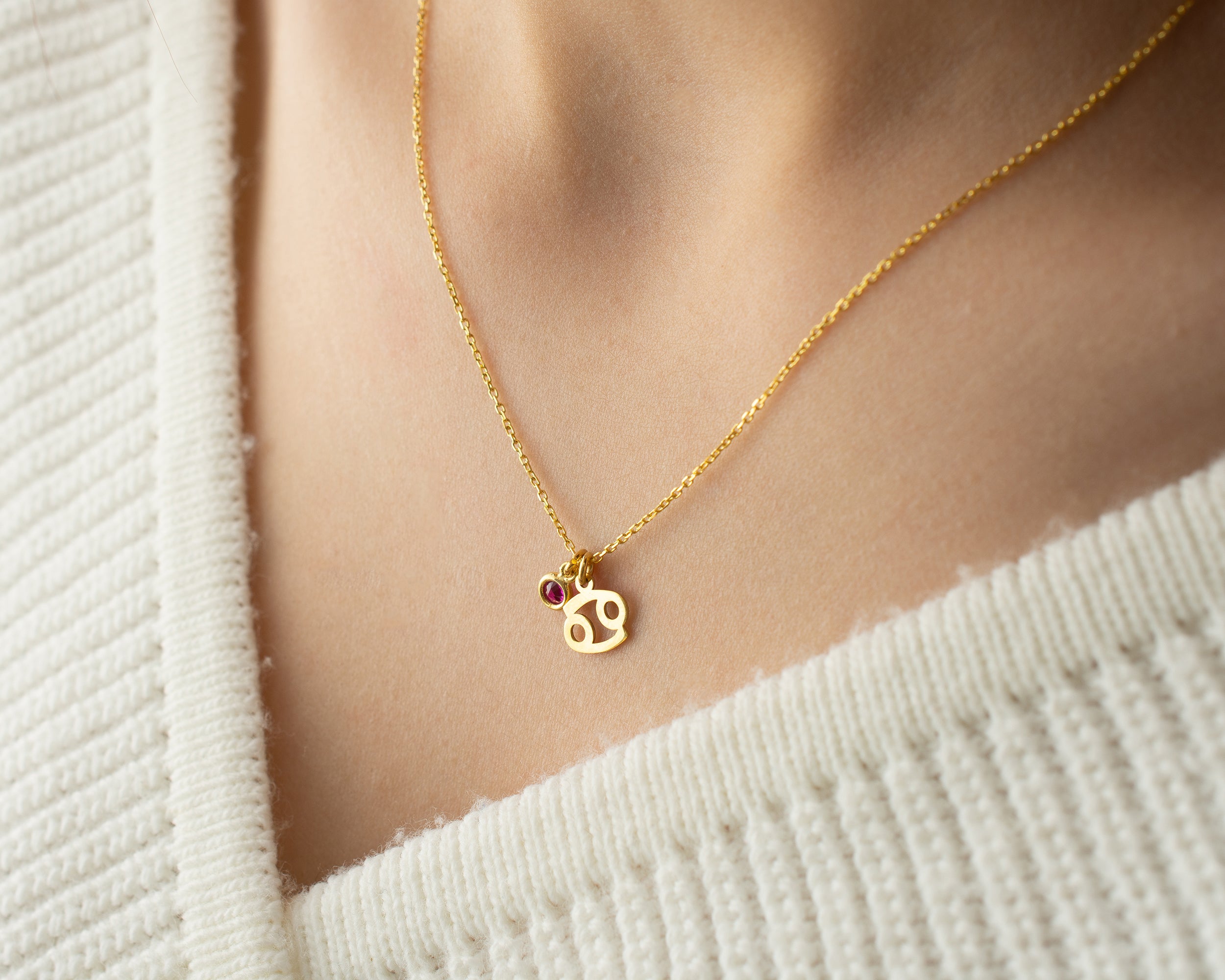 Zodiac Sign and Birthstone Necklace