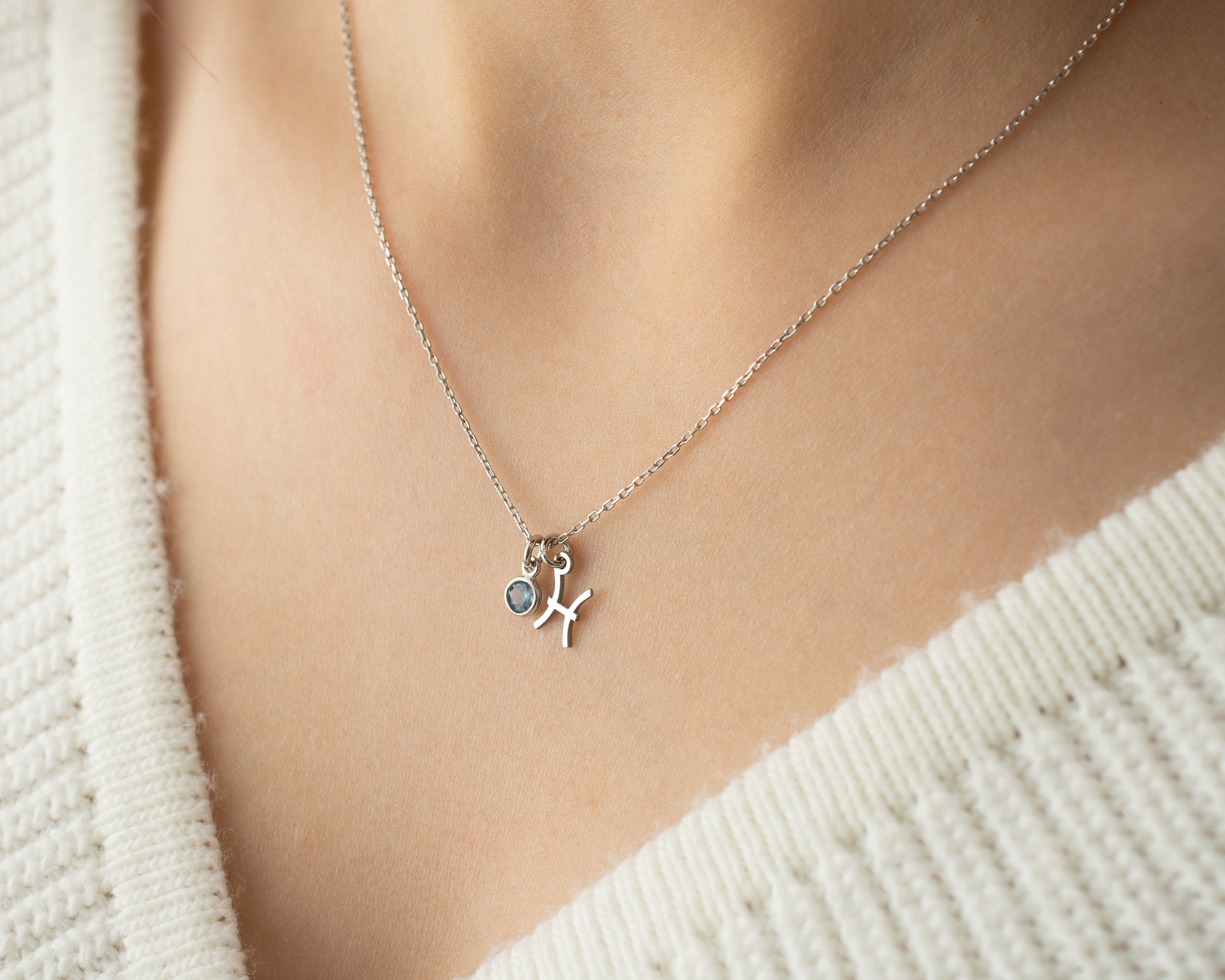 Zodiac Sign and Birthstone Necklace