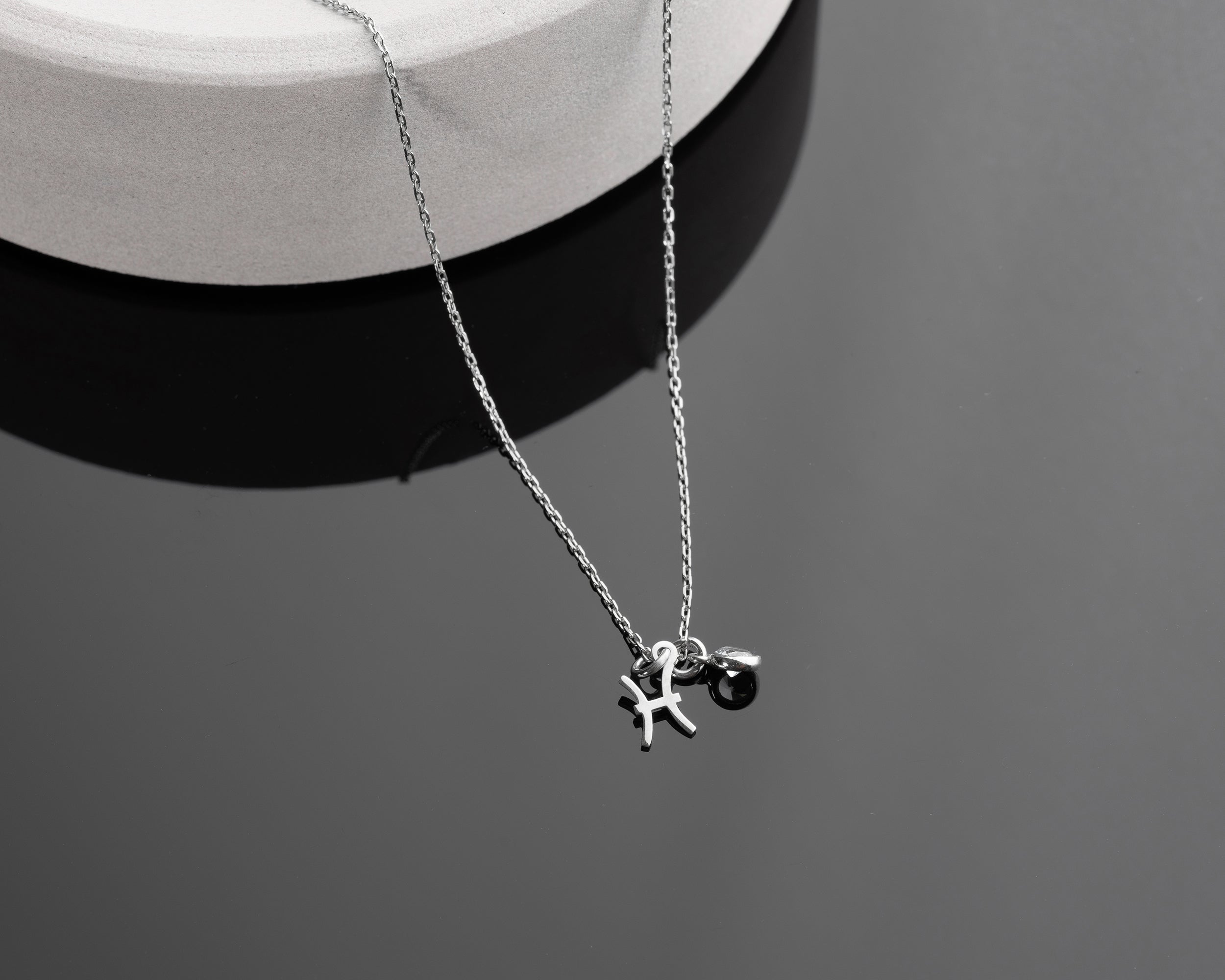 Zodiac Sign and Birthstone Necklace
