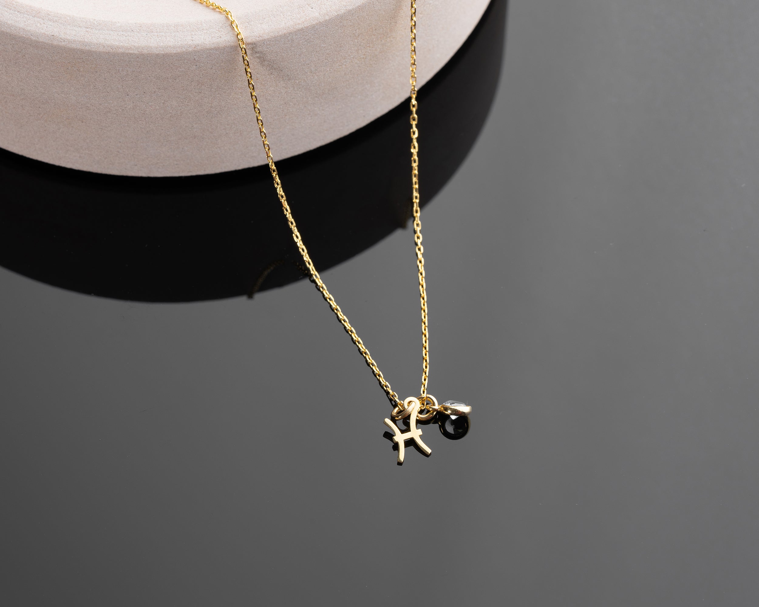 Zodiac Sign and Birthstone Necklace
