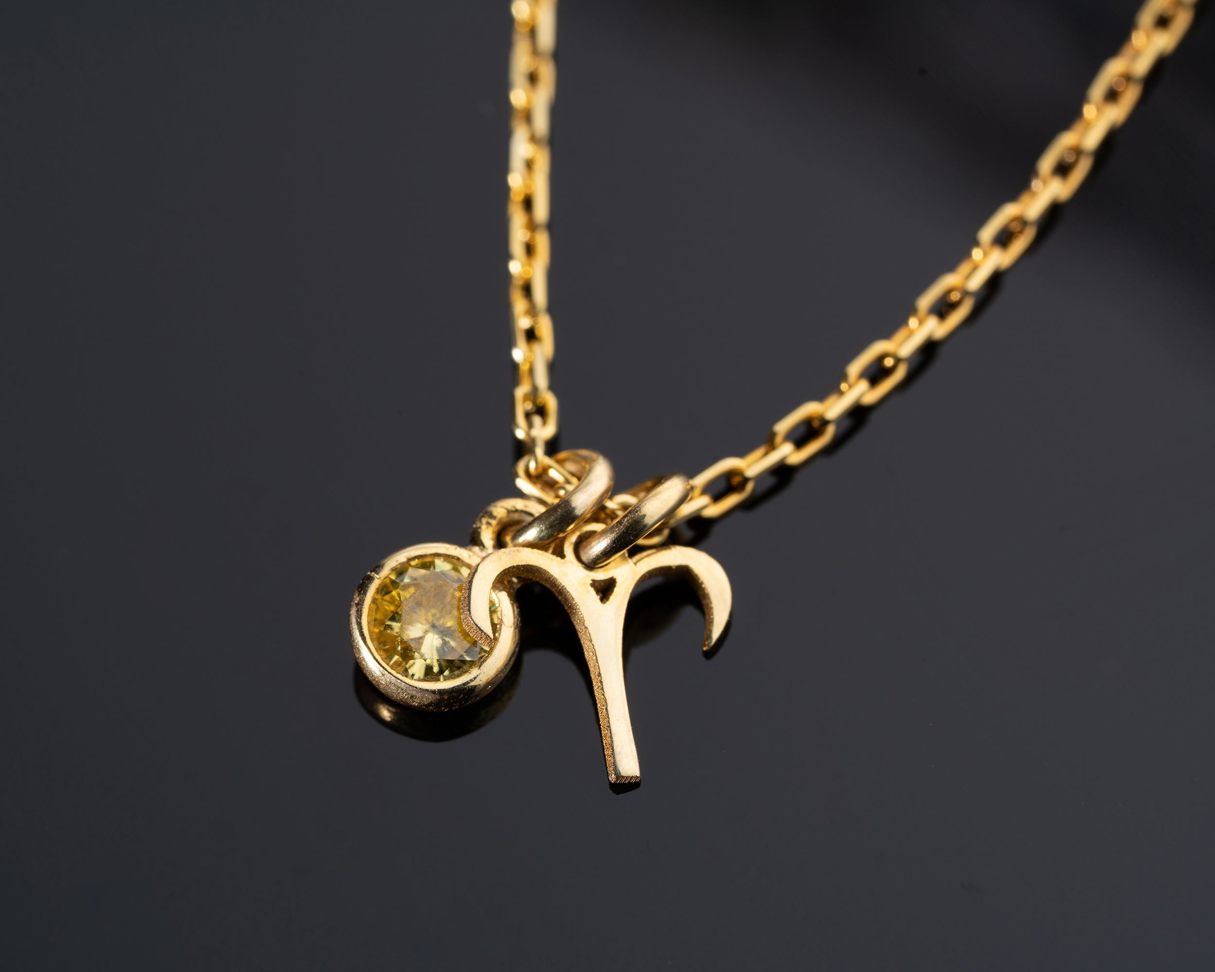 Zodiac Sign and Birthstone Necklace