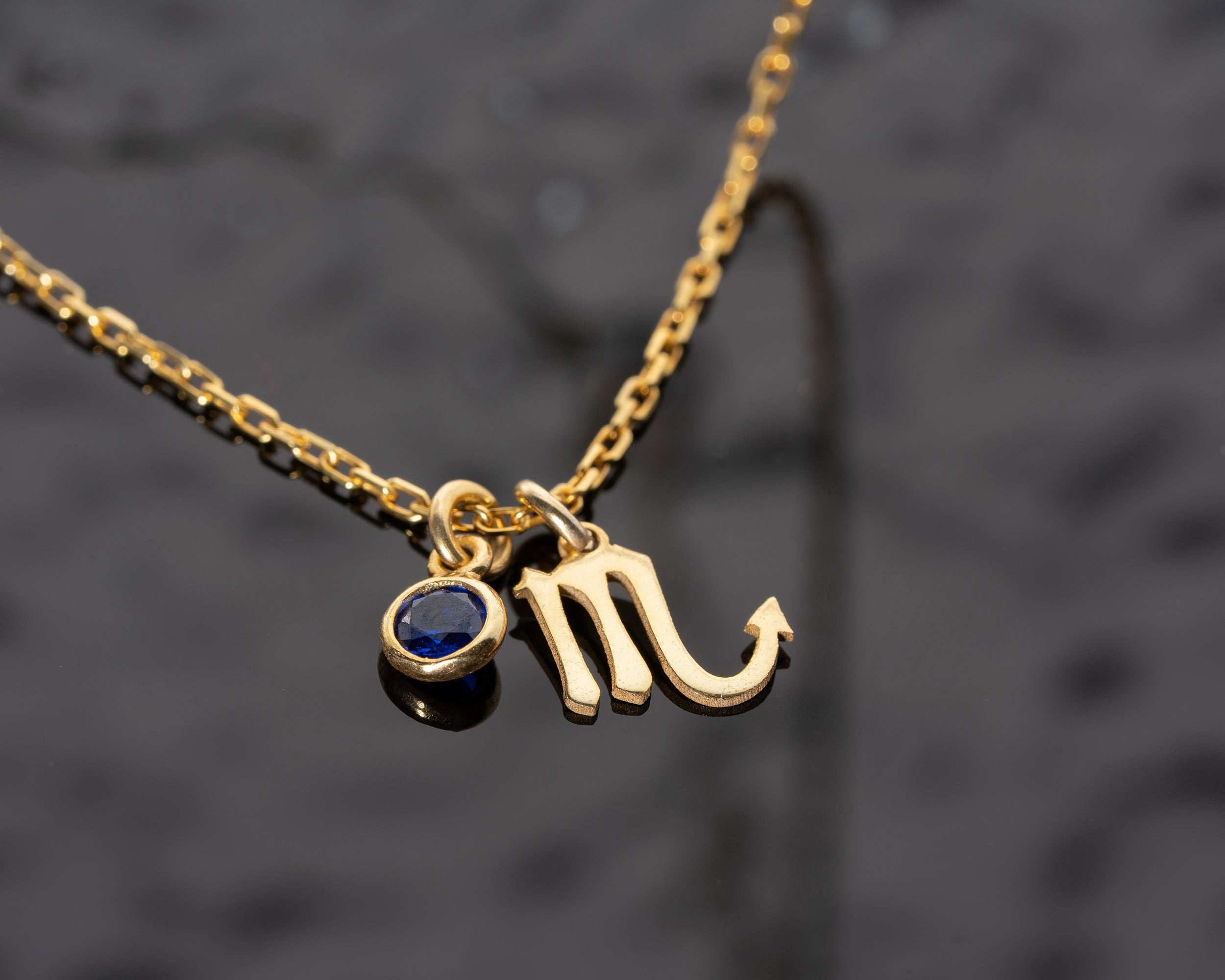 Zodiac Sign and Birthstone Necklace
