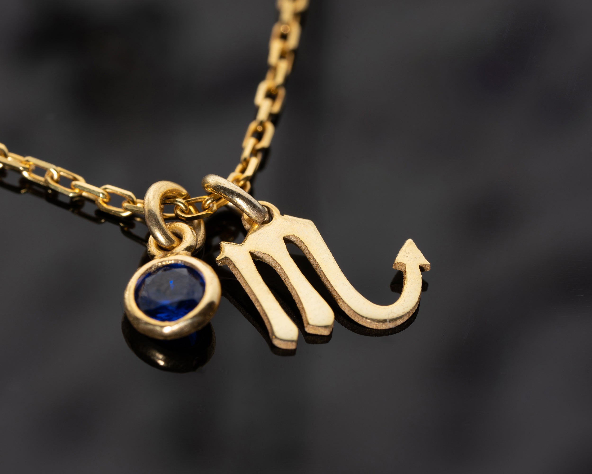 Zodiac Sign and Birthstone Necklace