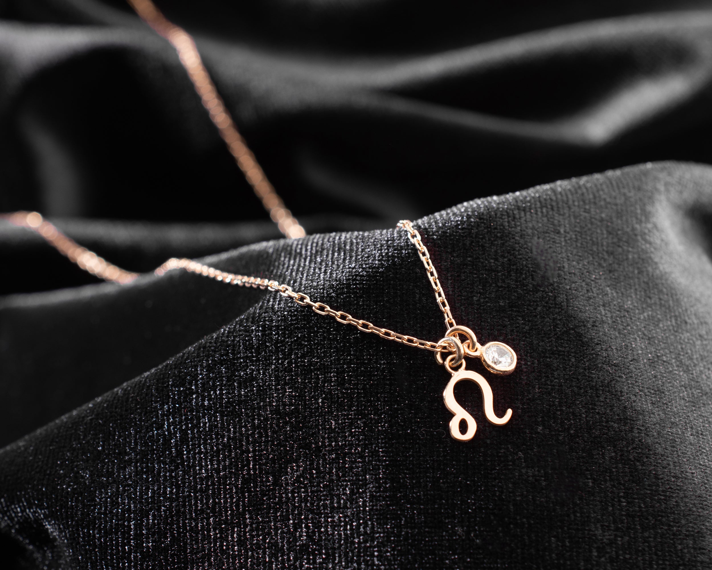 Zodiac Sign and Birthstone Necklace