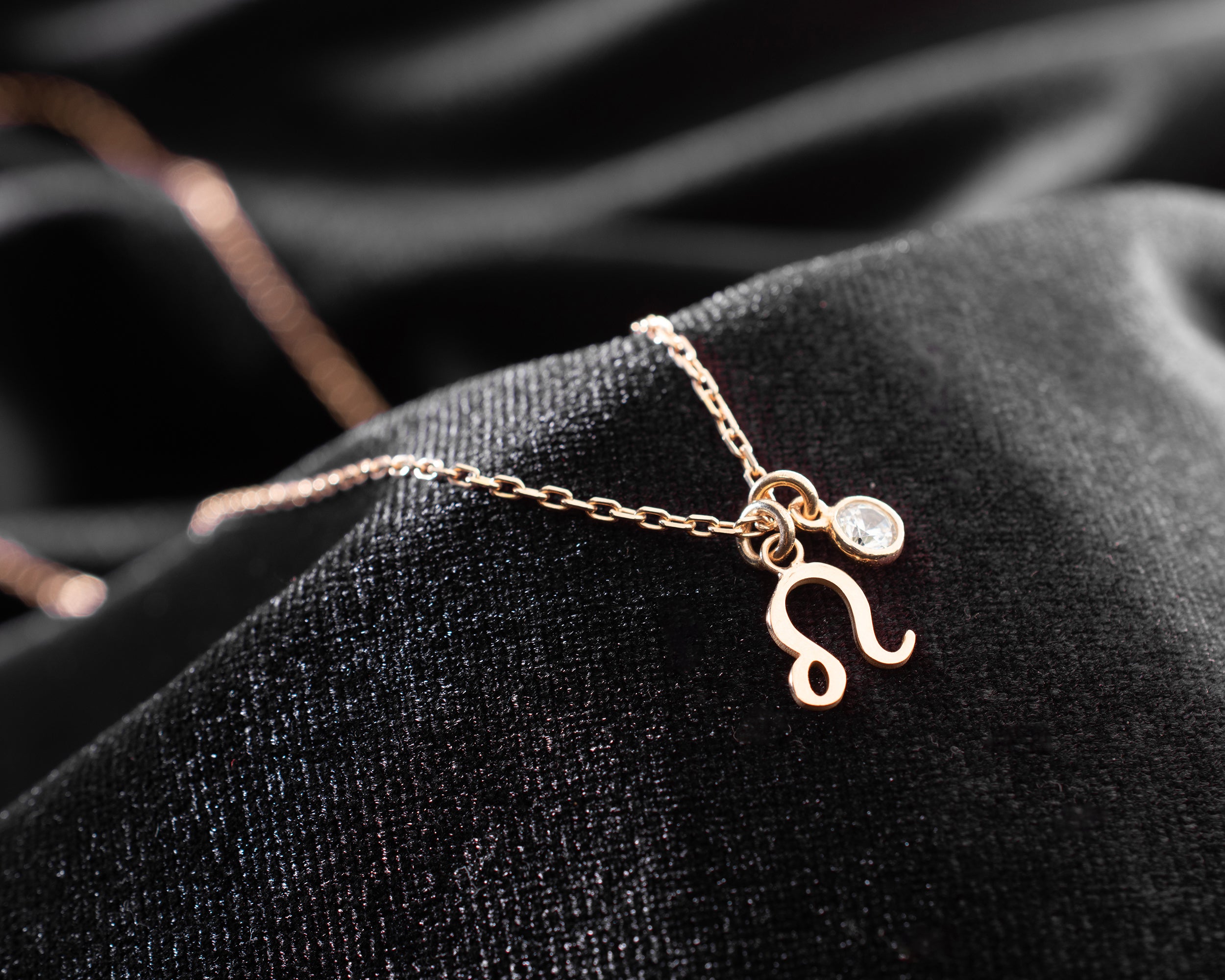 Zodiac Sign and Birthstone Necklace