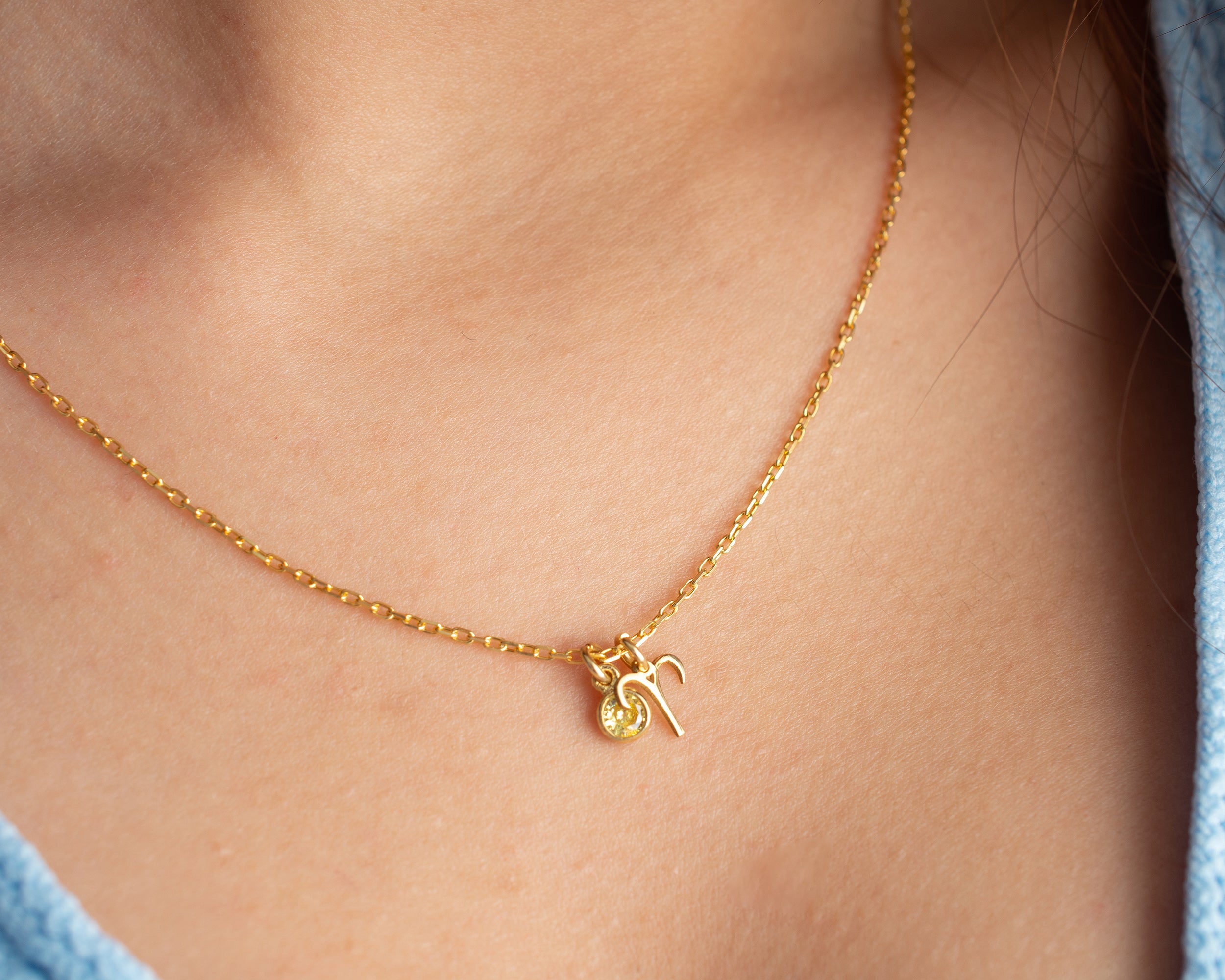 Zodiac Sign and Birthstone Necklace