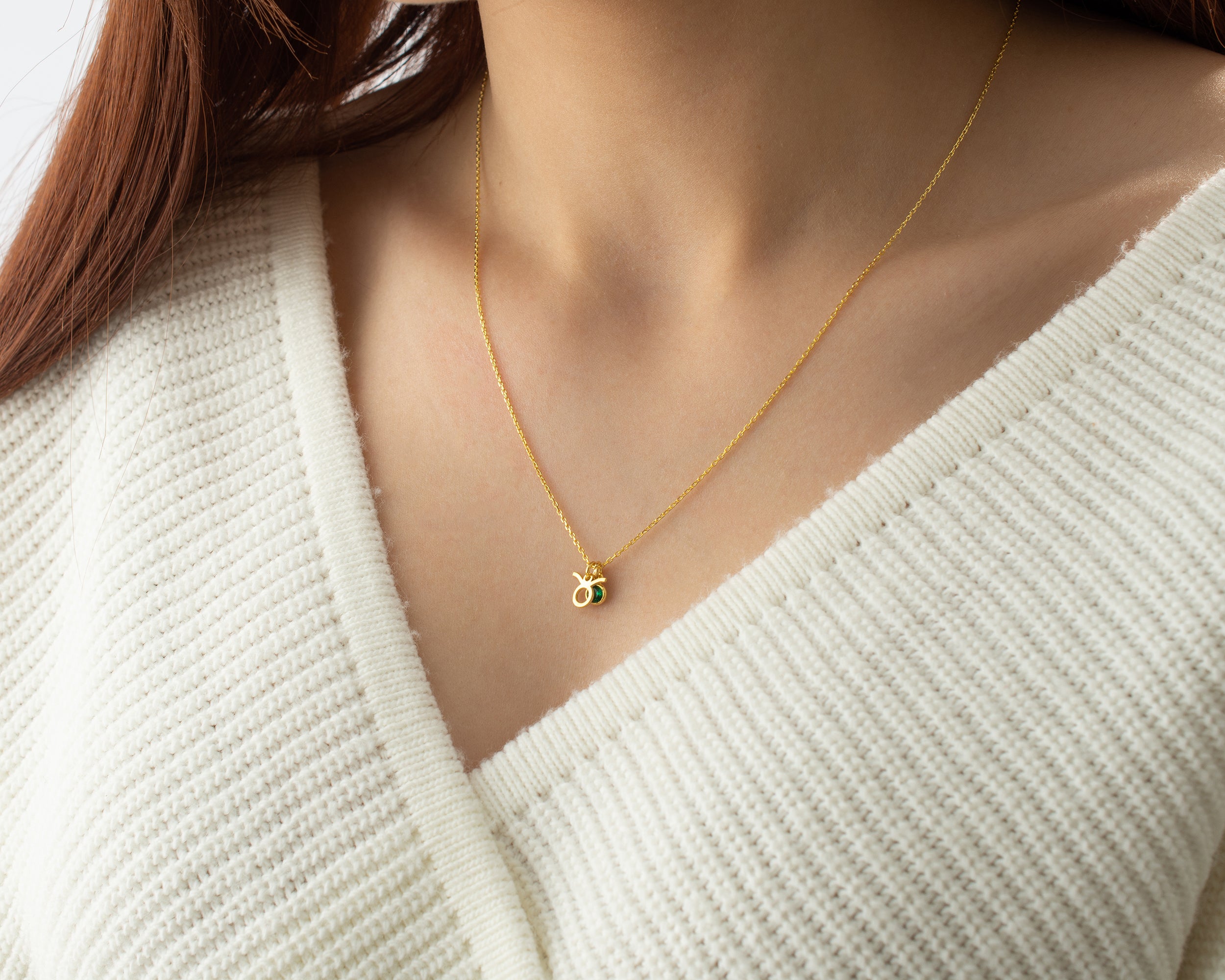 Zodiac Sign and Birthstone Necklace