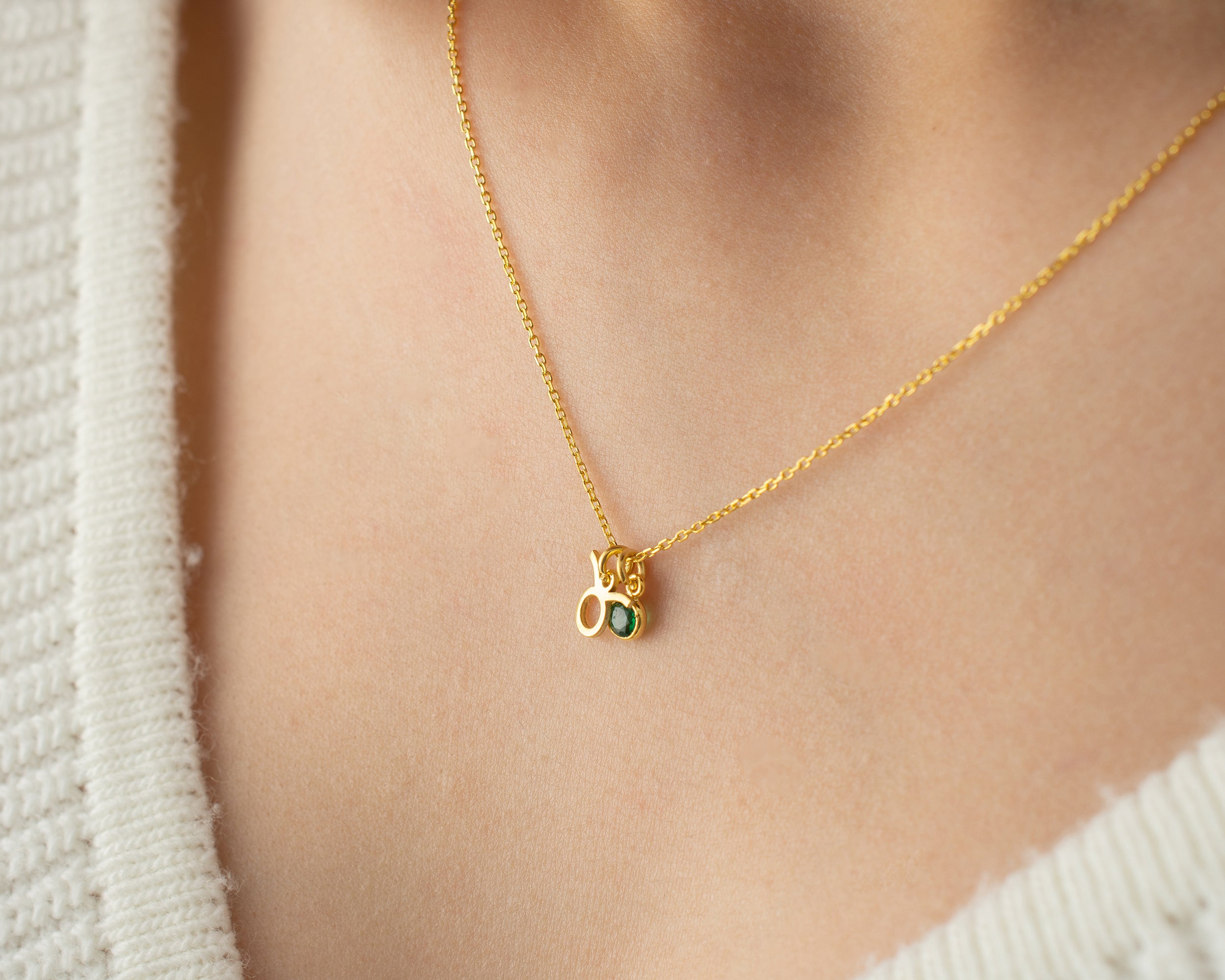 Zodiac Sign and Birthstone Necklace