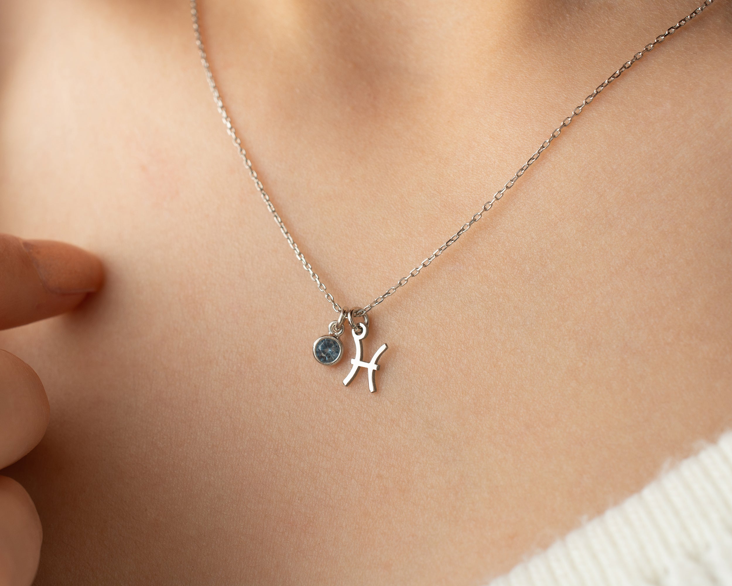 Zodiac Sign and Birthstone Necklace