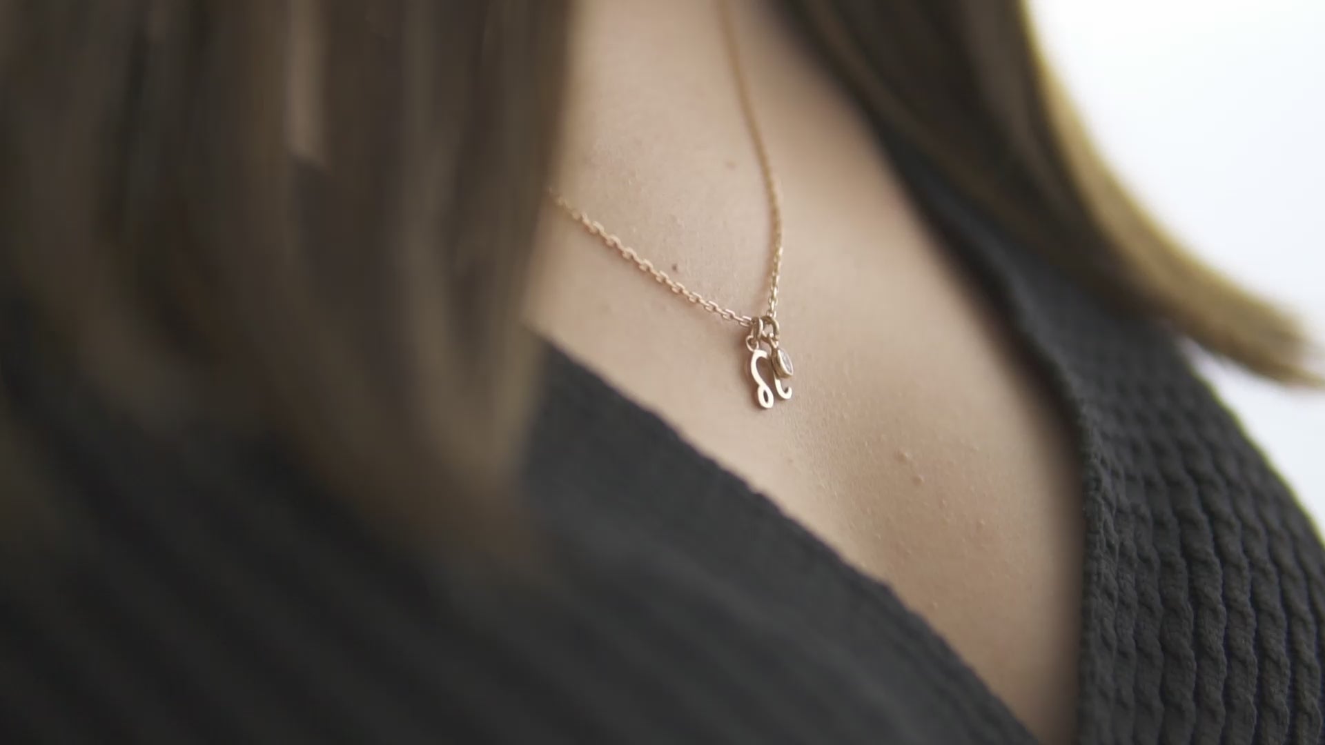 Zodiac Sign and Birthstone Necklace